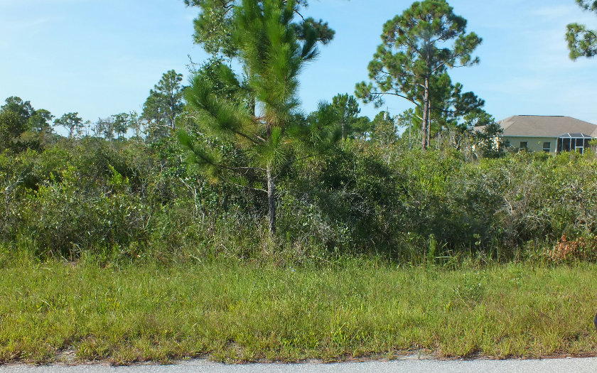 422 DARTER ST NW, Lake Placid, FL 33852