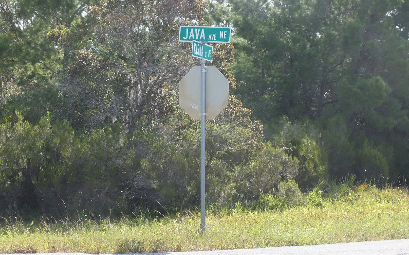 323 JAVA AVE NE, Lake Placid, FL 33852
