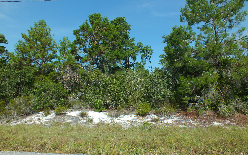 323 JAVA AVE NE, Lake Placid, FL 33852