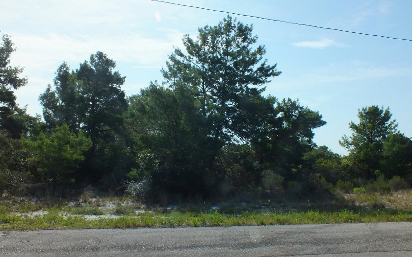 230 IMBROS AVE NE, Lake Placid, FL 33852