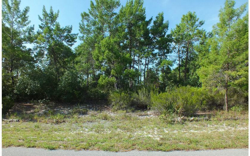 631 DRY TORTUGAS ST NE, Lake Placid, FL 33852