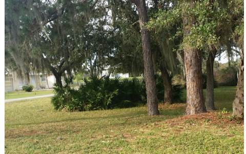 110 LAKE FRANCIS DR, Lake Placid, FL 33852