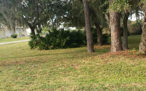 110 LAKE FRANCIS DR, Lake Placid, FL 33852
