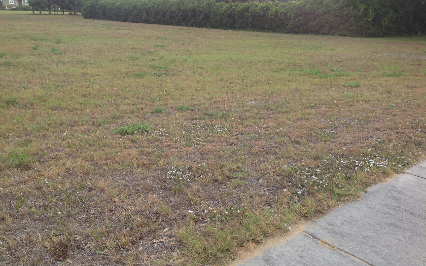 317 DAL HALL BLVD, Lake Placid, FL 33852