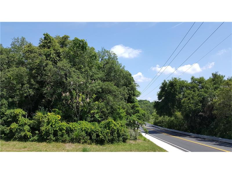 0 SCENIC HWY S, Lake Wales, FL 33853