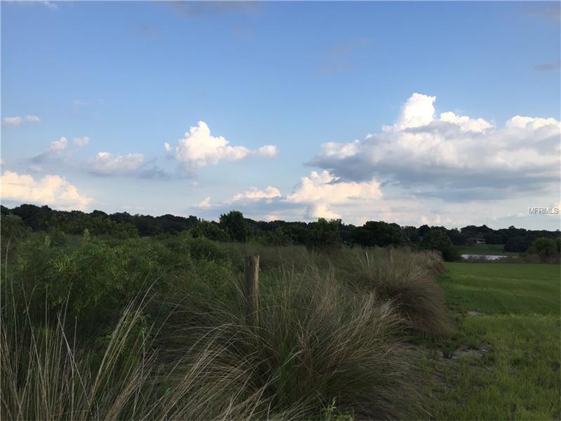 1127 LAKESHORE BOULEVARD N, Lake Wales, FL 33853