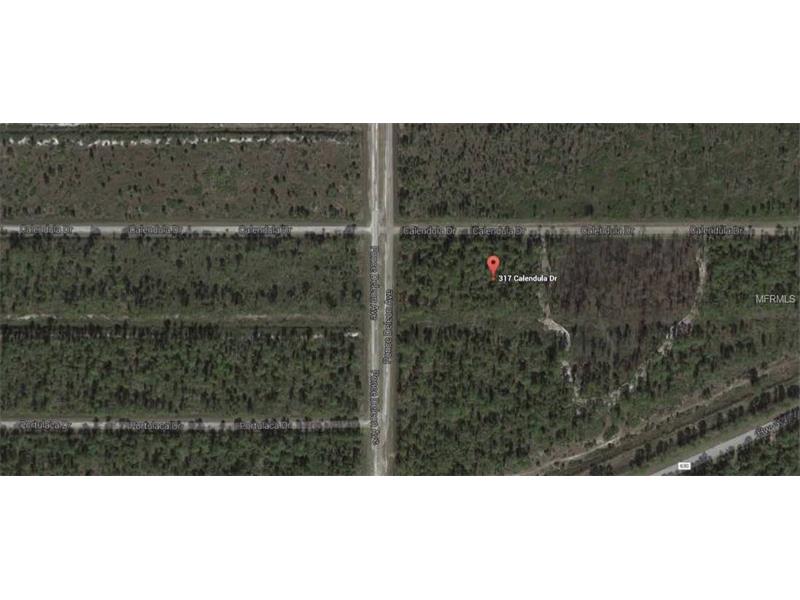 317 CALENDULA DRIVE, Indian Lake Estates, FL 33855