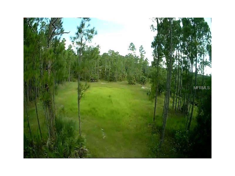 1121 ORCHID DRIVE, Indian Lake Estates, FL 33855