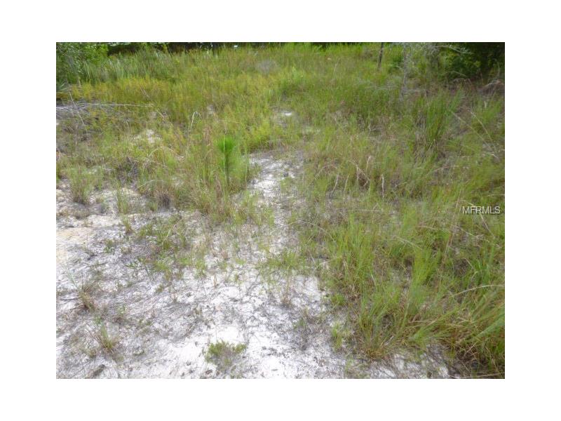 1121 ORCHID DRIVE, Indian Lake Estates, FL 33855