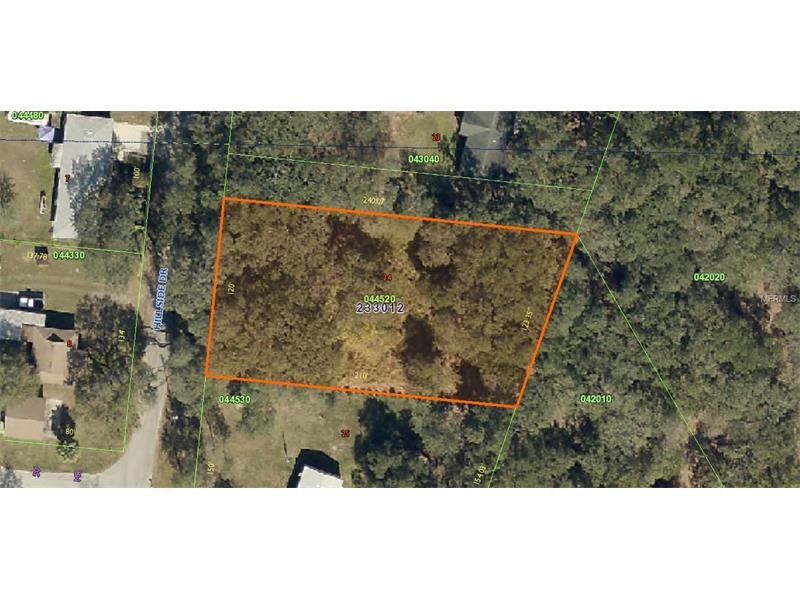 HILLSIDE DRIVE, Mulberry, FL 33860