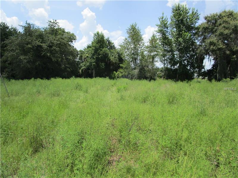 0 PALM VIEW DR LOT 12, Mulberry, FL 33860