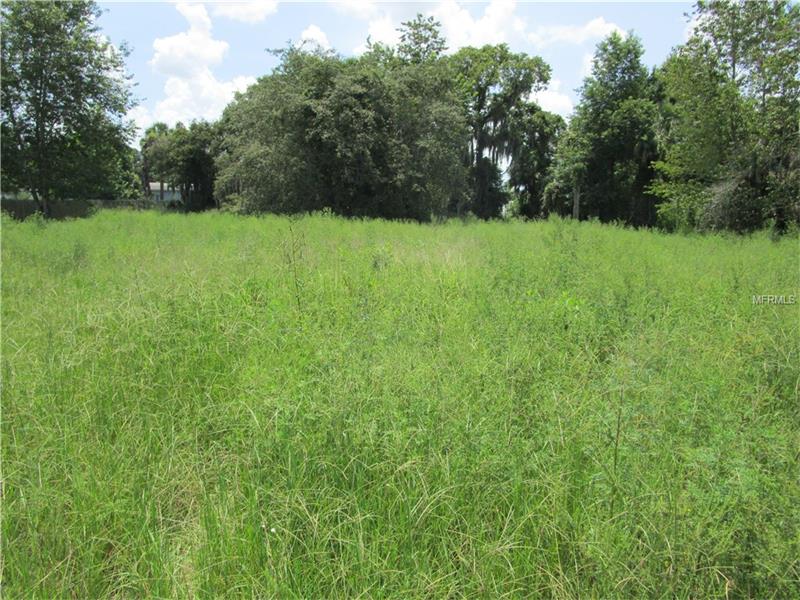 0 PALM VIEW DR LOT 12, Mulberry, FL 33860