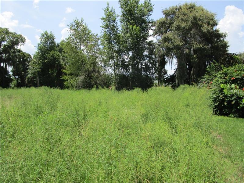 0 PALM VIEW DR LOT 12, Mulberry, FL 33860