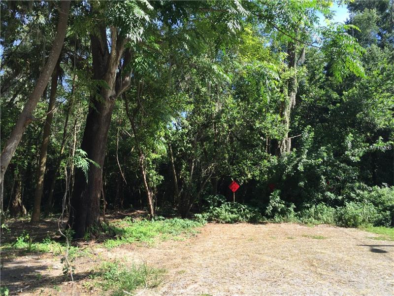PINE STREET LOT 3, Mulberry, FL 33860