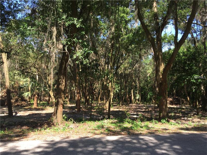 PINE STREET LOT 6, Mulberry, FL 33860