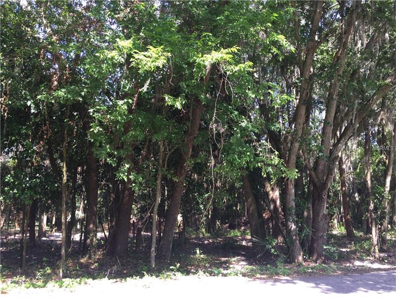 PINE STREET LOT 6, Mulberry, FL 33860