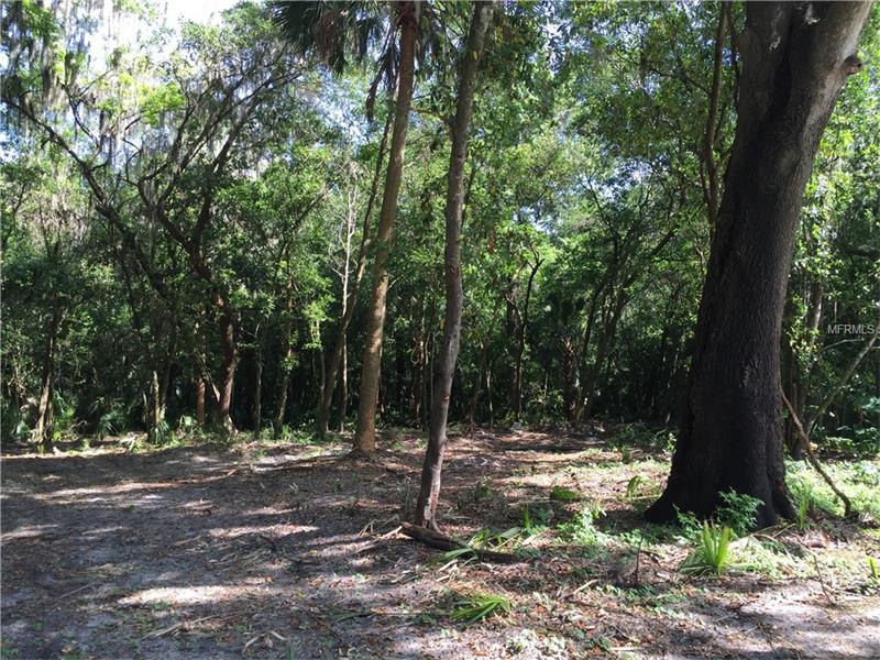 PINE STREET LOT 2, Mulberry, FL 33860