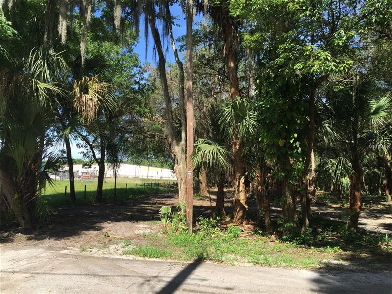 PINE STREET LOT 2, Mulberry, FL 33860