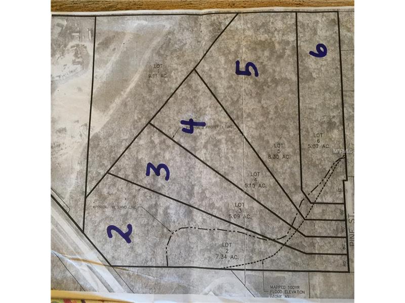 PINE STREET LOT 5, Mulberry, FL 33860