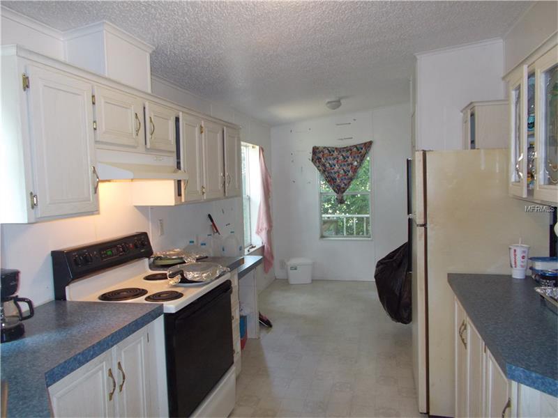 10338 STEVEN DRIVE, Polk City, FL 33868