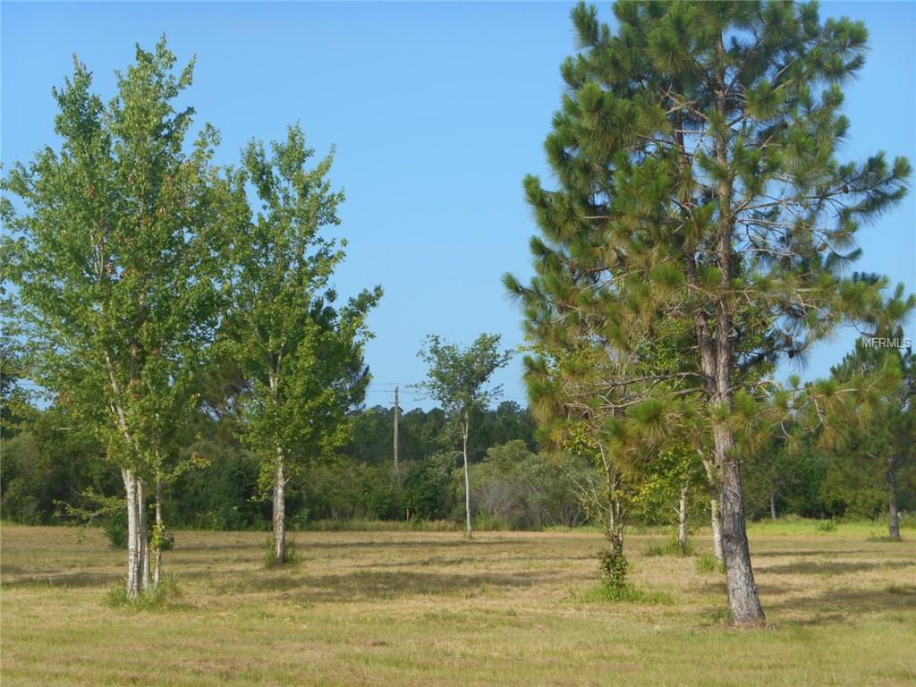 Roundup Dr, Polk City, FL 33868