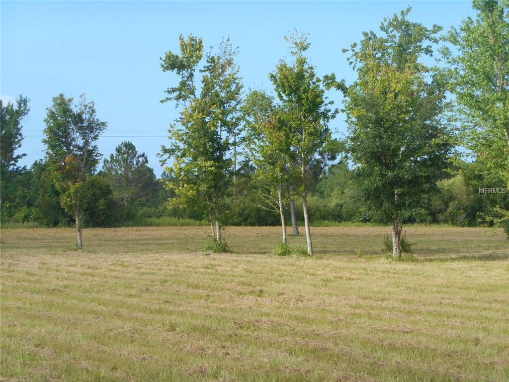Roundup Dr, Polk City, FL 33868