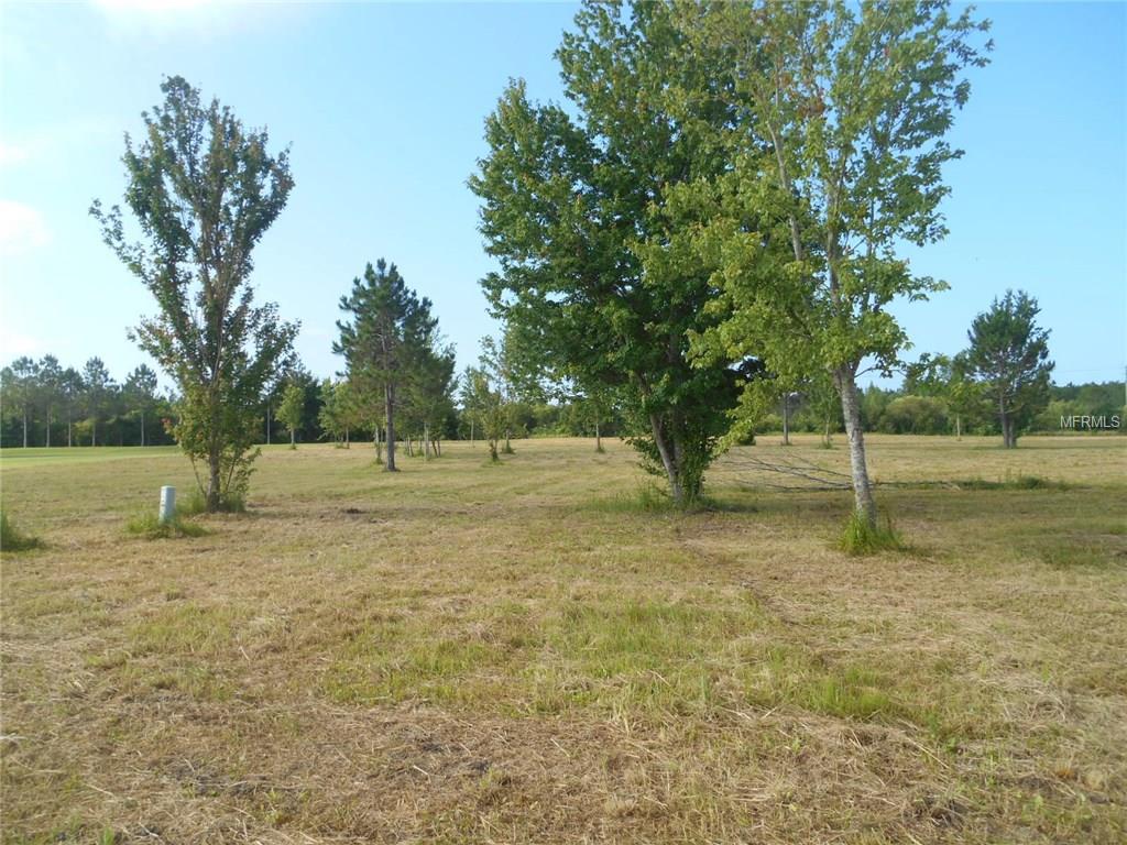 Roundup Dr, Polk City, FL 33868