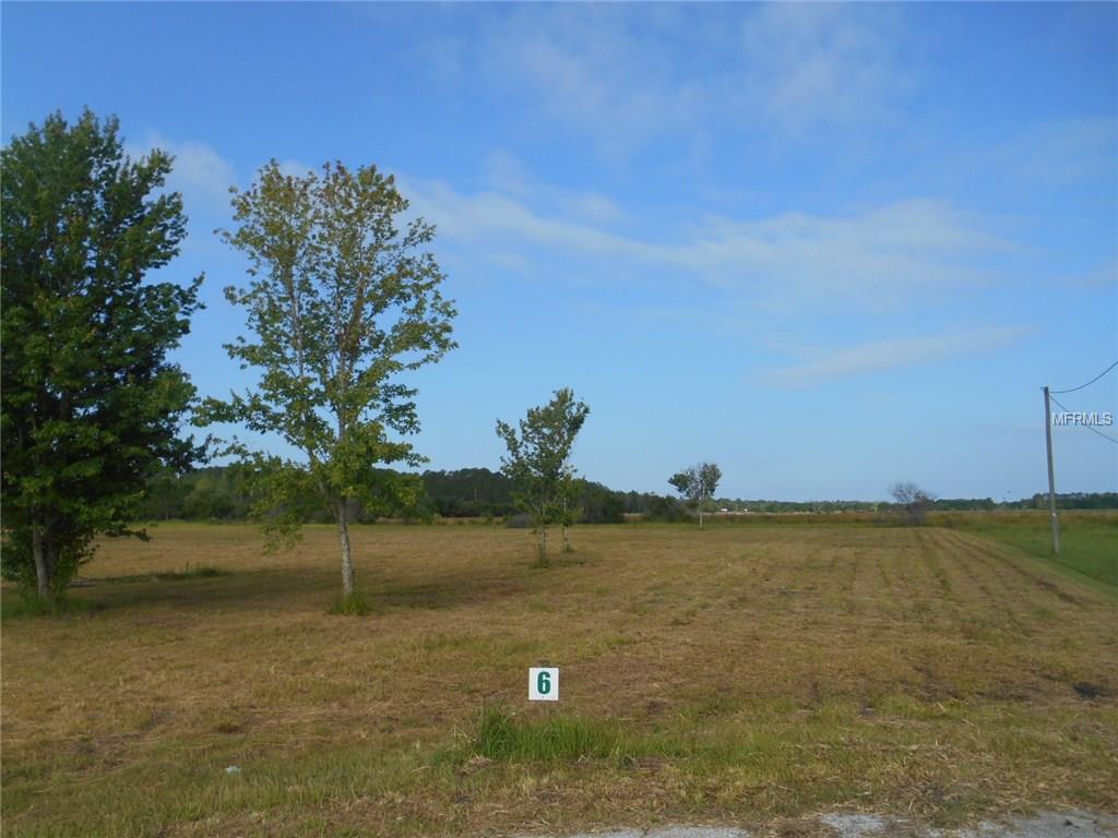 Roundup Dr, Polk City, FL 33868