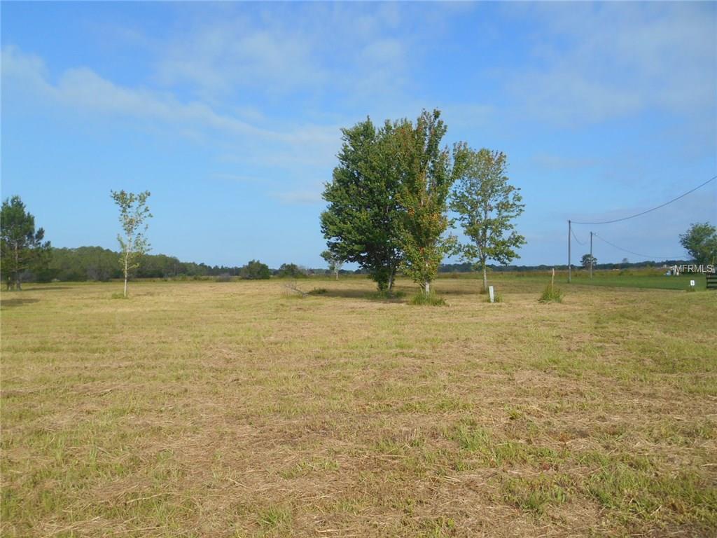 Roundup Dr, Polk City, FL 33868