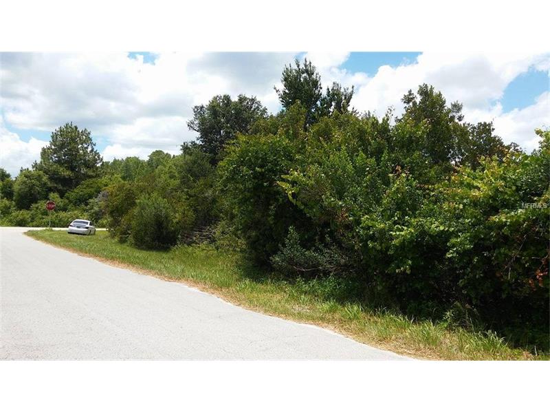 11903 BACKLAND PATH ROAD, Polk City, FL 33868