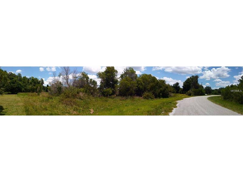 11903 BACKLAND PATH ROAD, Polk City, FL 33868