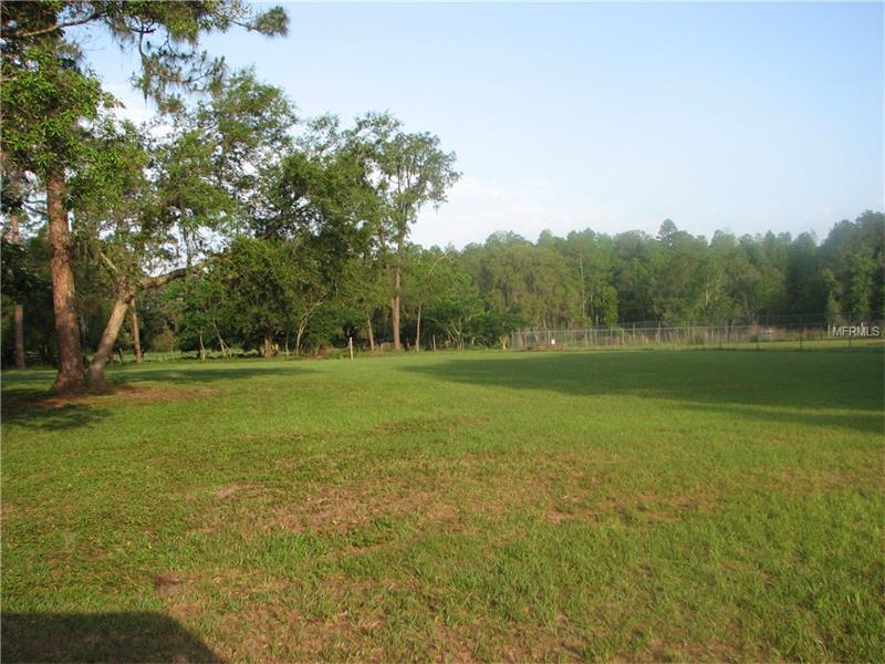 MAYAGUEZ ROAD, Polk City, FL 33868