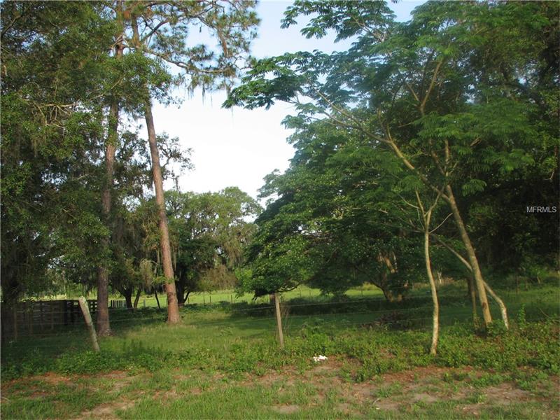 MAYAGUEZ ROAD, Polk City, FL 33868