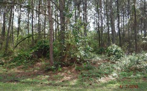 8851 OVIEDO ST, Sebring, FL 33872