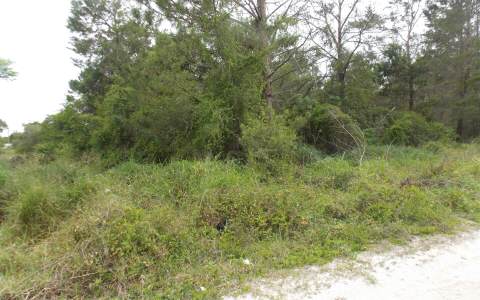 524 QUAIL AVE, Sebring, FL 33872