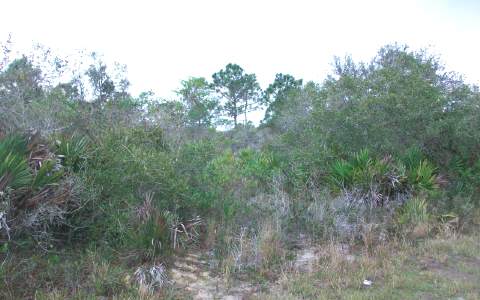 10171 SPICEWOOD DR, Sebring, FL 33872