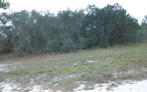 10302 TAM OSHANTER BLVD, Sebring, FL 33872