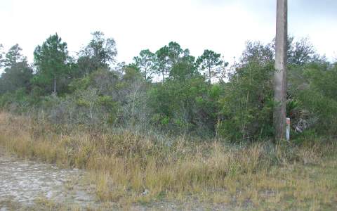 10163 SPICEWOOD DR, Sebring, FL 33872