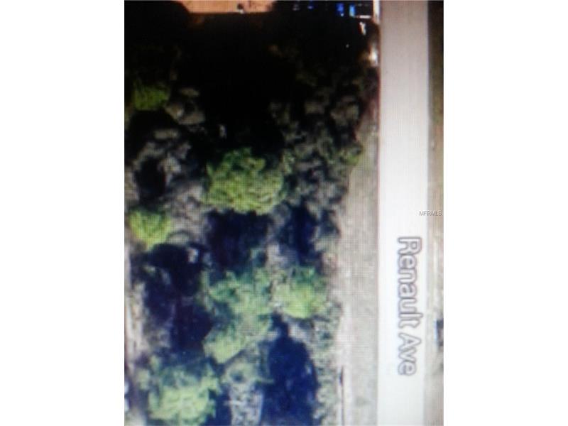601 RENAULT AVENUE, Sebring, FL 33872