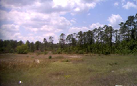 4496 TANGLEWOOD DR, Sebring, FL 33872