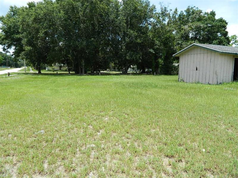 1309 MARTIN LUTHER KING JR AVENUE, Wauchula, FL 33873