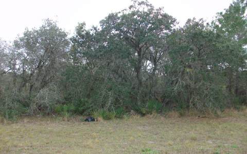 10300 S ORANGE BLOSSOM BLVD, Sebring, FL 33875