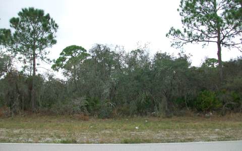 9801 S ORANGE BLOSSOM BLVD, Sebring, FL 33875