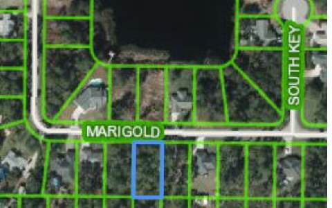 1817 MARIGOLD AVE, Sebring, FL 33875