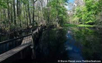 3133 BROWNWOOD DR, Sebring, FL 33875