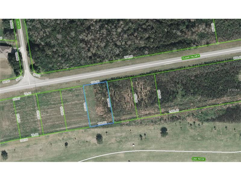 1649 DUANE PALMER BOULEVARD, Sebring, FL 33876
