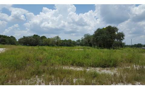 260 DEER TRAIL, Sebring, FL 33876