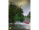 120 Orange Ave, Winter Haven, FL 33880