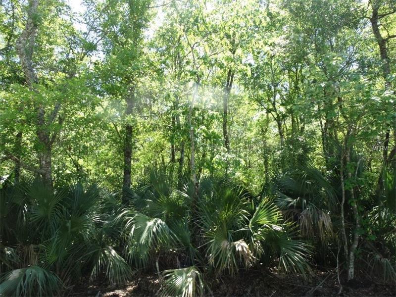 OLD KISSIMMEE RD, Davenport, FL 33896
