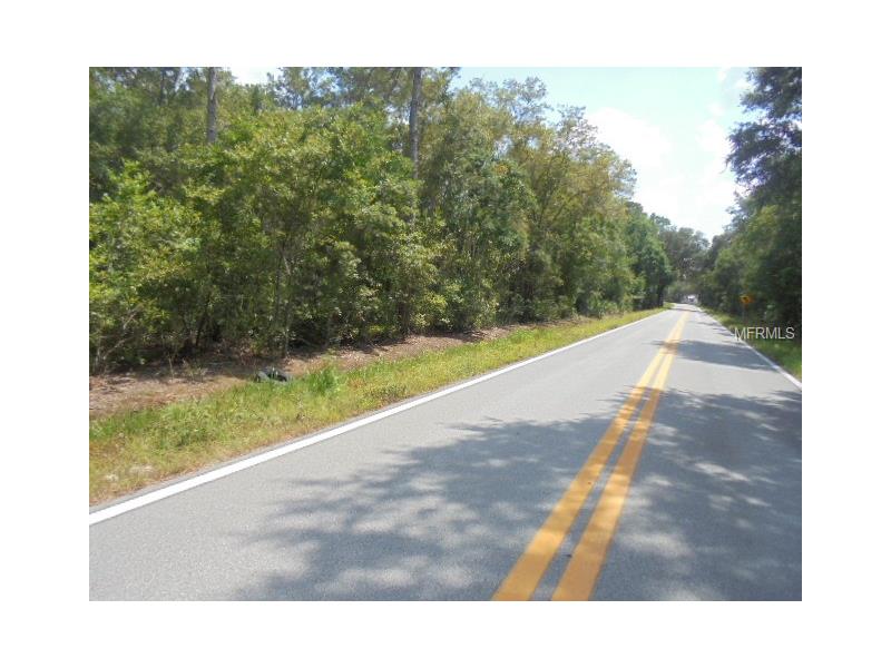 OLD KISSIMMEE RD, Davenport, FL 33896